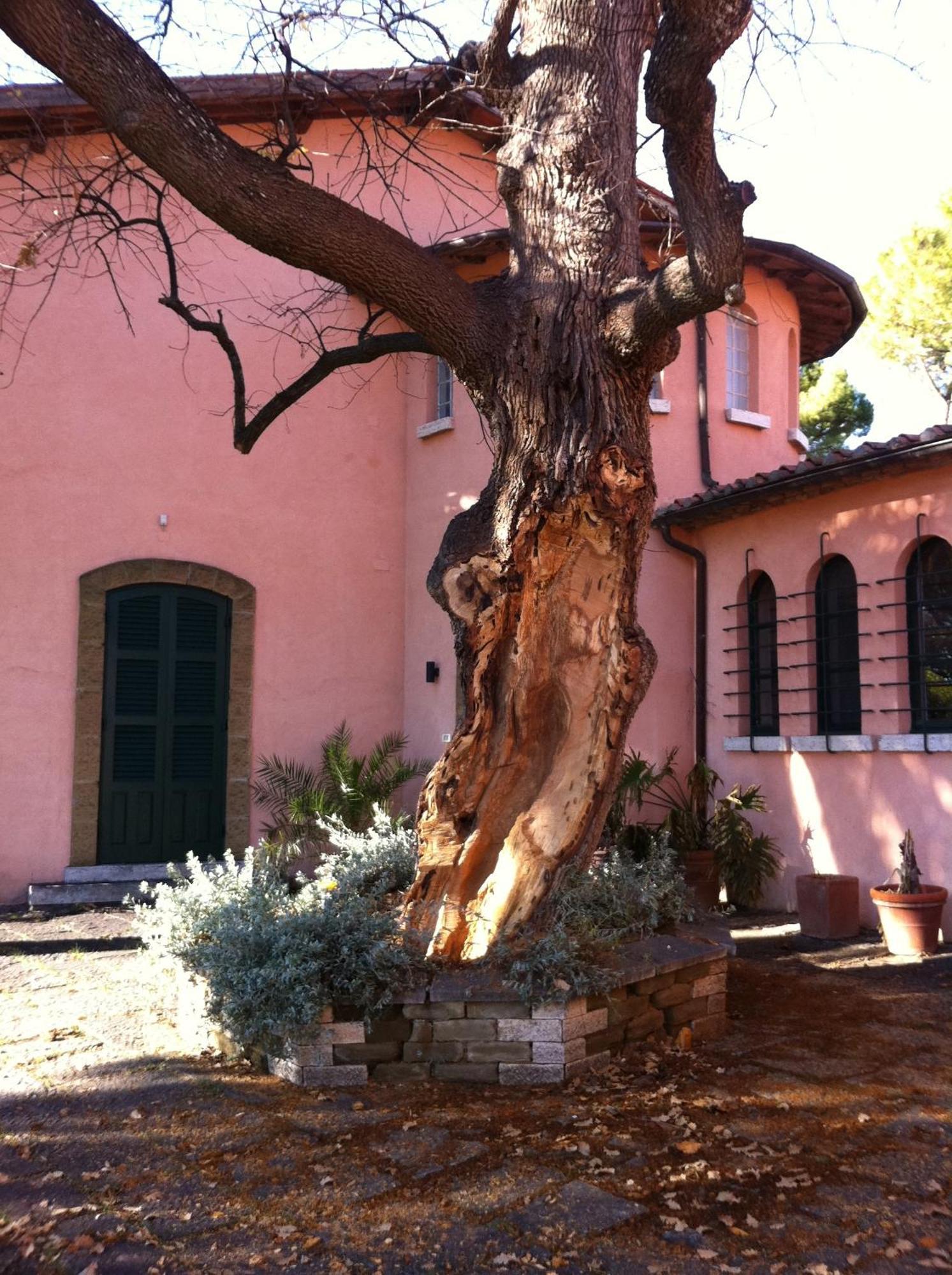 Villa Acquaviva Wine Resort Montemerano Eksteriør billede