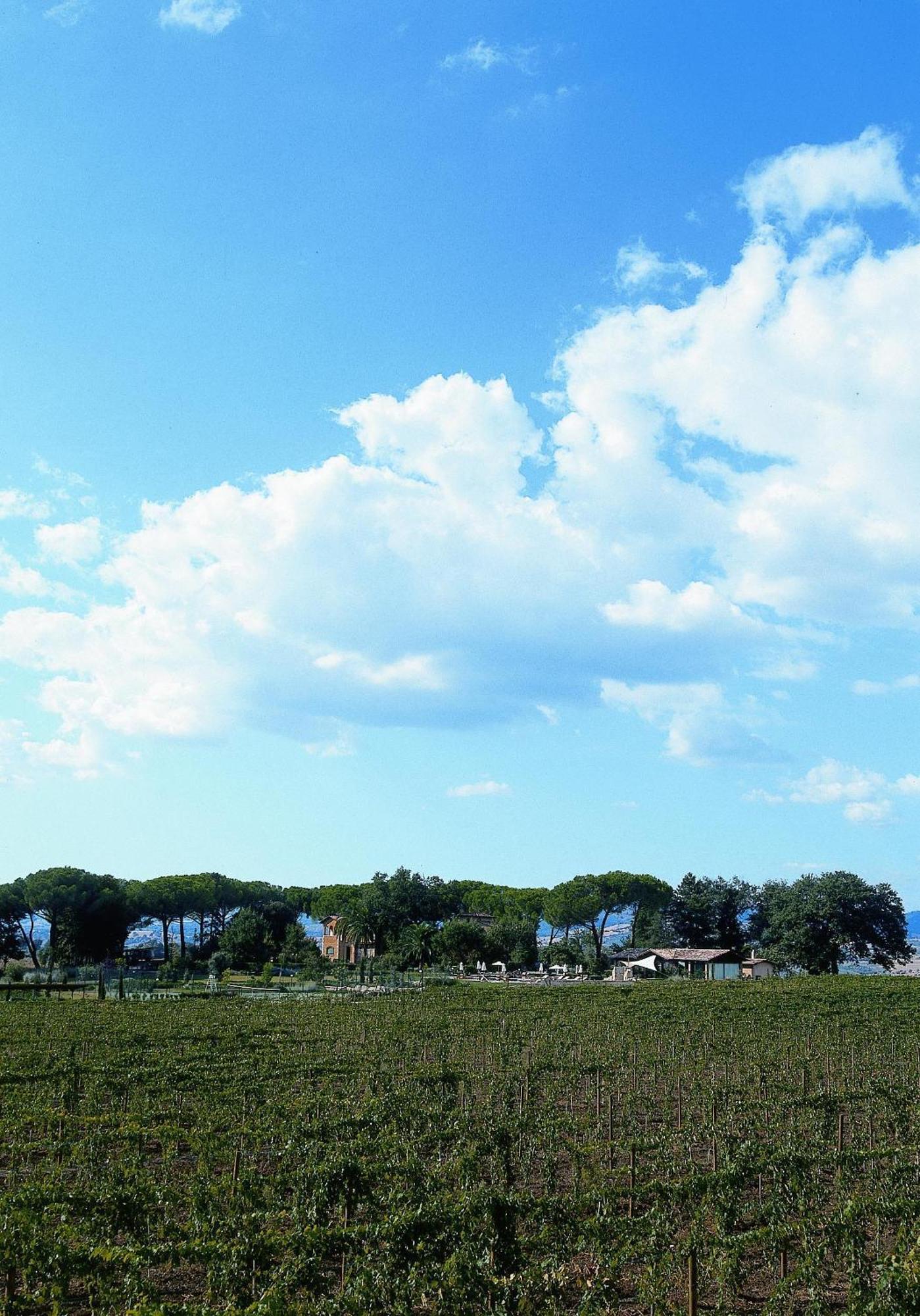 Villa Acquaviva Wine Resort Montemerano Eksteriør billede