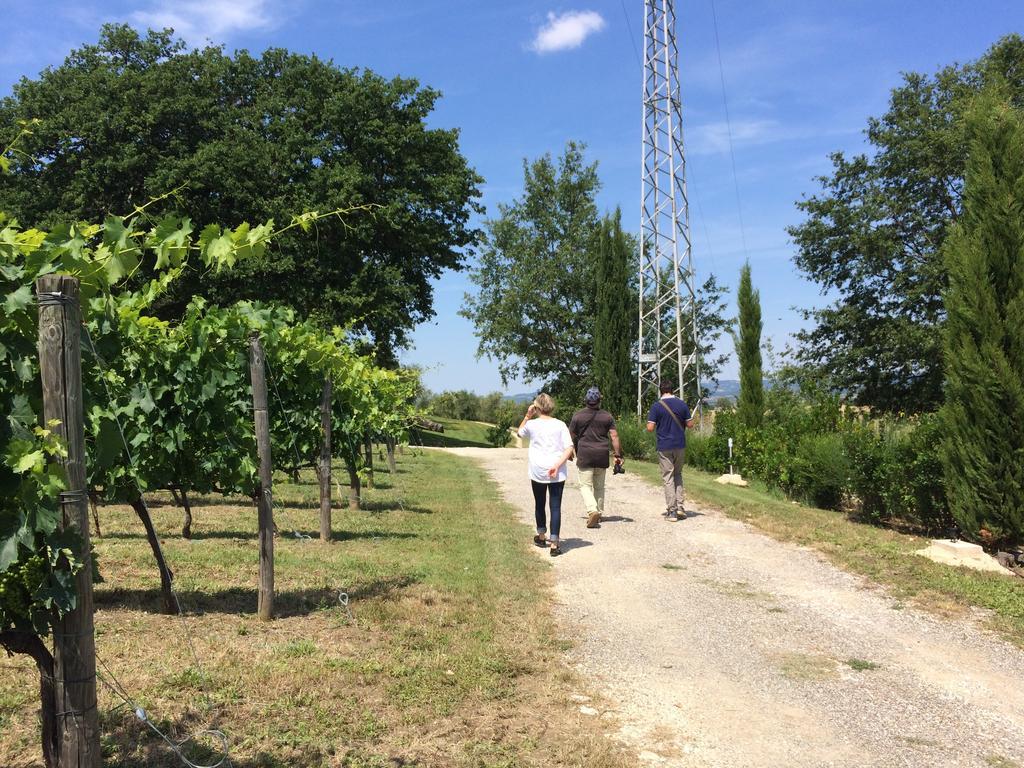 Villa Acquaviva Wine Resort Montemerano Eksteriør billede