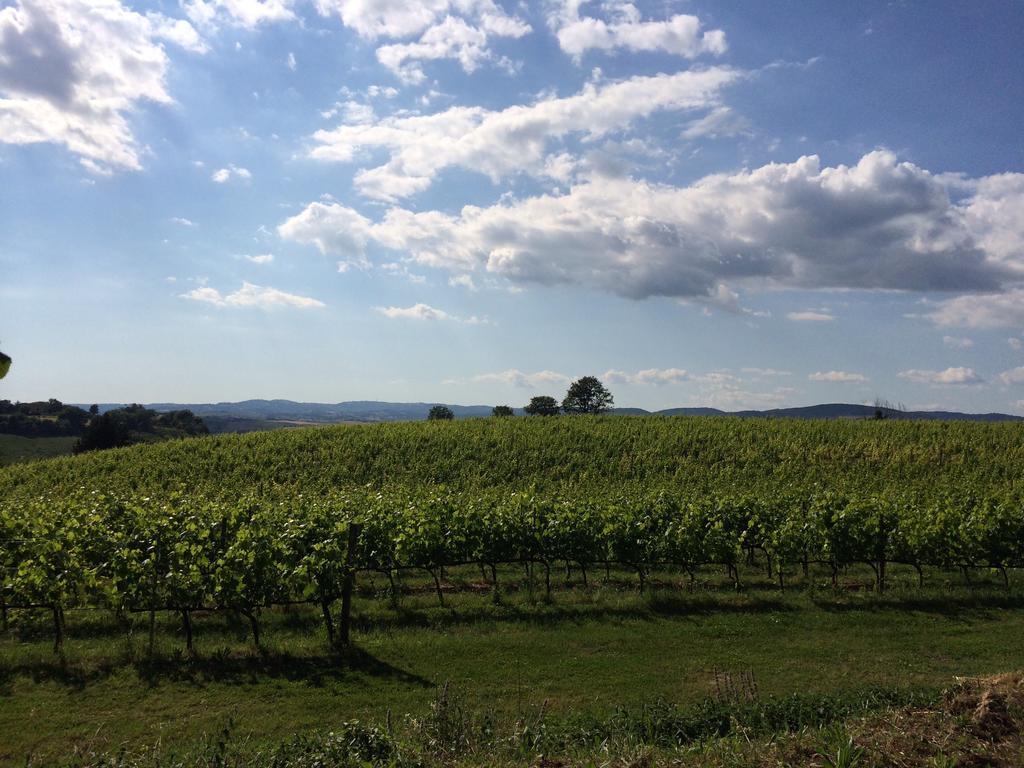 Villa Acquaviva Wine Resort Montemerano Eksteriør billede