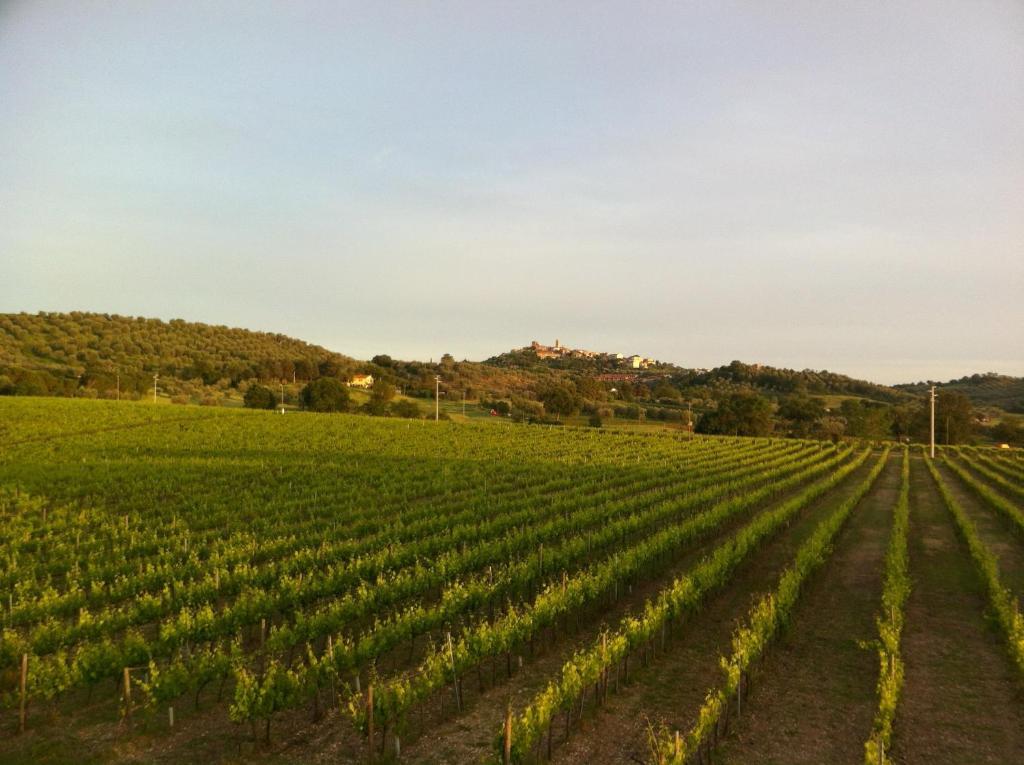Villa Acquaviva Wine Resort Montemerano Eksteriør billede